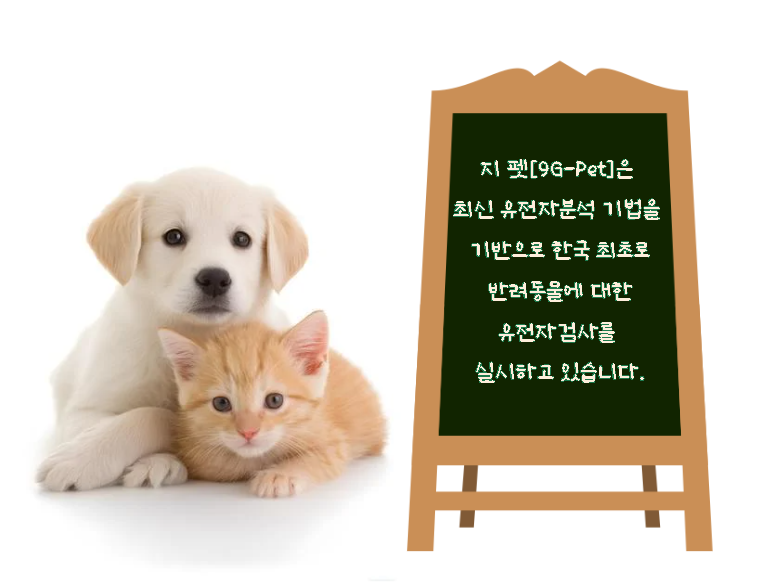 G Pet 인사말