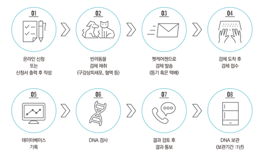 검사 진행 프로세스